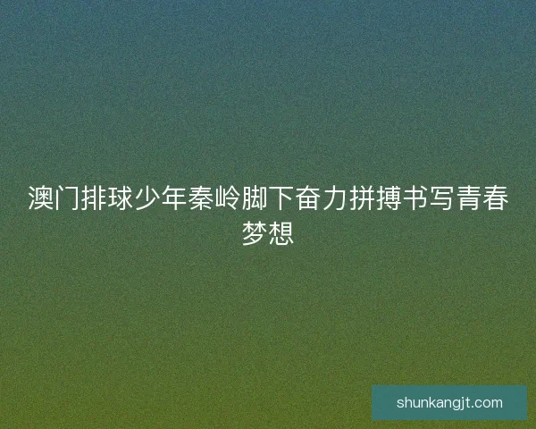 澳门排球少年秦岭脚下奋力拼搏书写青春梦想 澳门排球少年秦岭脚下奋力拼搏书写青春梦想